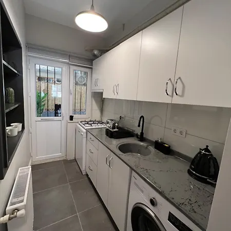 Comfy 1-bedroom With A Terrace In Kadikoey 公寓 *